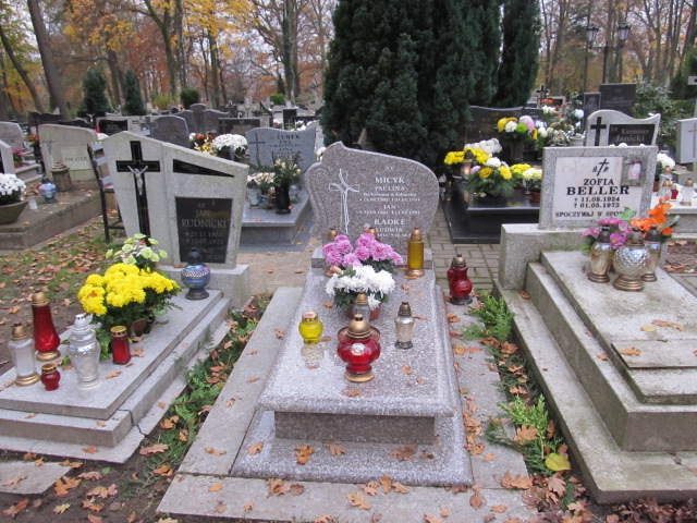 Grób Paulina Micyk