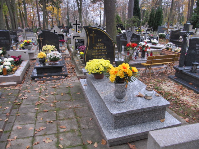 Grób TEODOR LINARTOWICZ