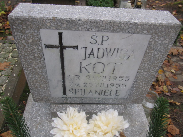 Jadwiga KOT 1955 Słupsk - Grobonet - Wyszukiwarka osób pochowanych