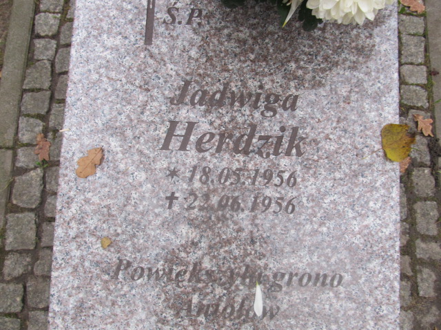 Jadwiga HERDZIK 1956 Słupsk - Grobonet - Wyszukiwarka osób pochowanych