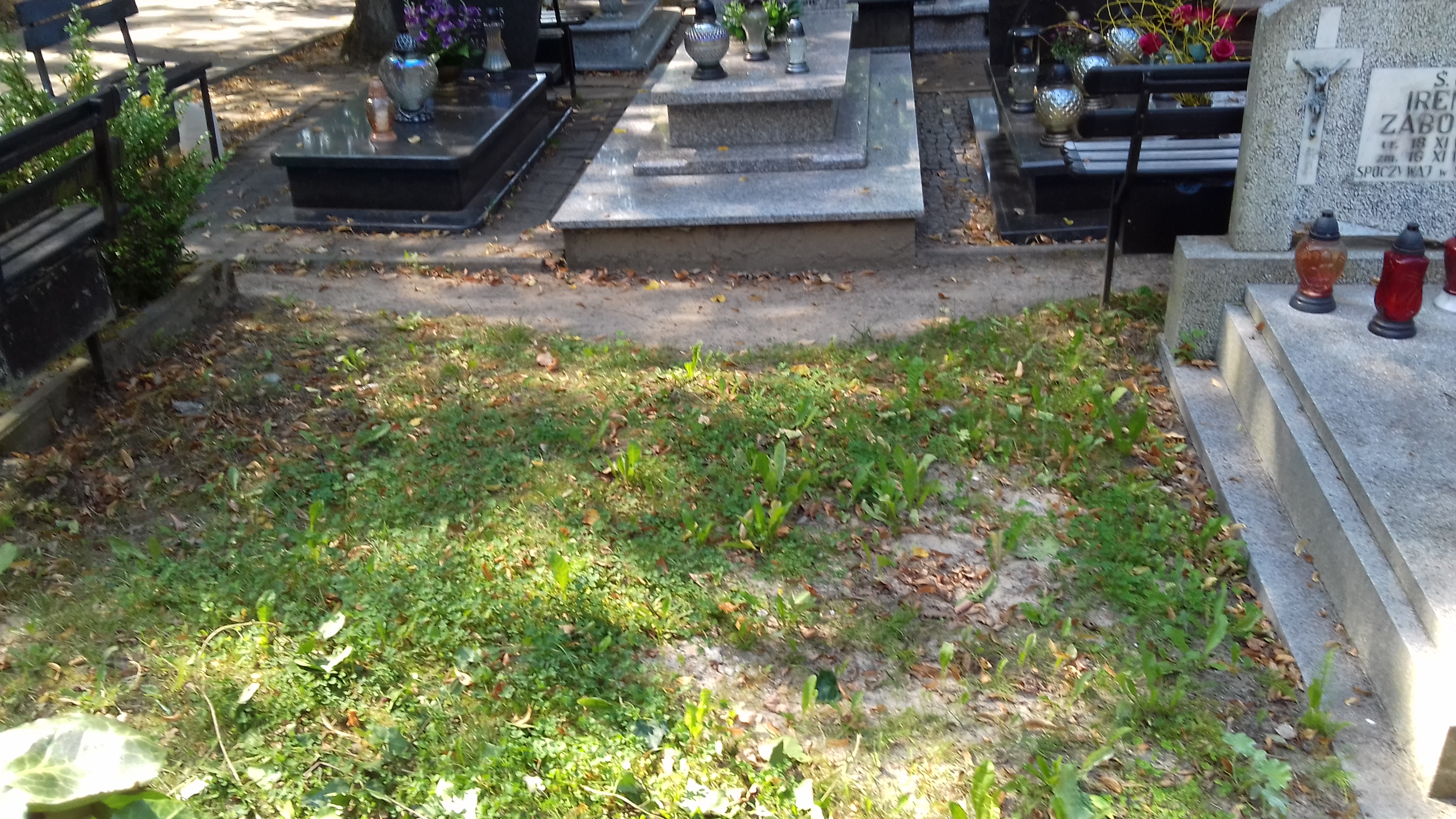 Jerzy REBOW 1900 Słupsk - Grobonet - Wyszukiwarka osób pochowanych