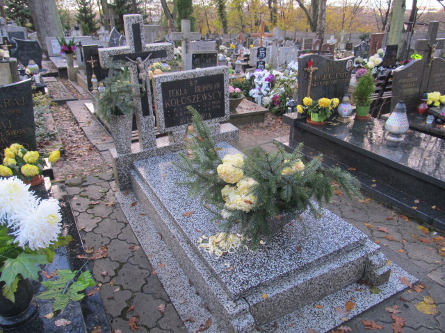 Grób TEKLA KOŁOSZEWSKA