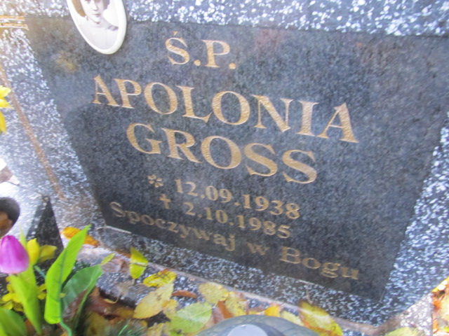 Apolonia GROSS 1938 Słupsk - Grobonet - Wyszukiwarka osób pochowanych