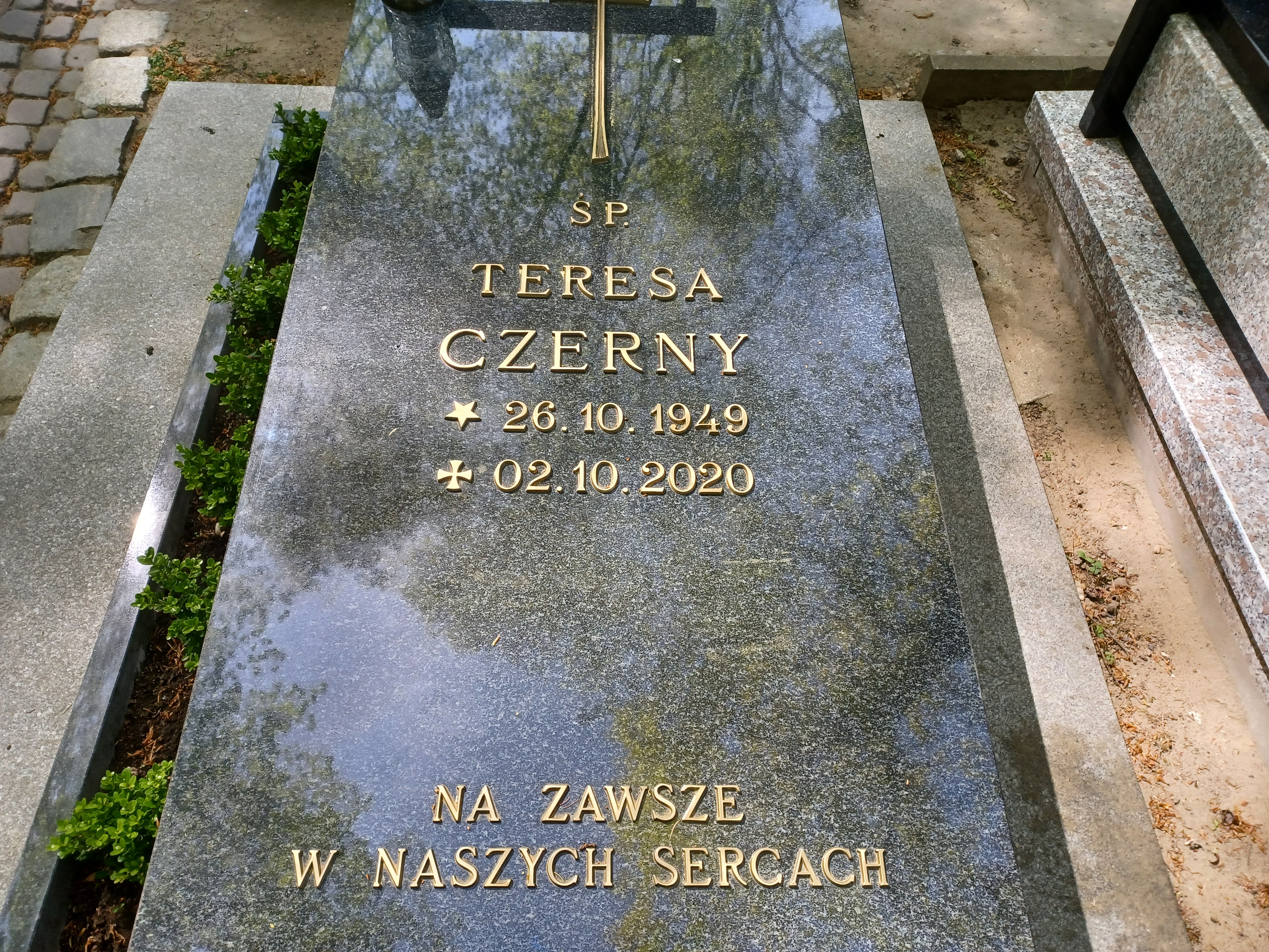 Teresa CZERNY 1949 Słupsk - Grobonet - Wyszukiwarka osób pochowanych