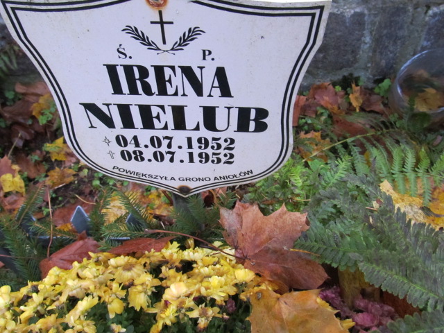 Henryk NIELUB 1956 Słupsk - Grobonet - Wyszukiwarka osób pochowanych