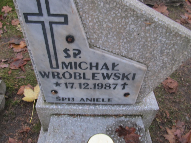 Michał Wróblewski 1987 Słupsk - Grobonet - Wyszukiwarka osób pochowanych