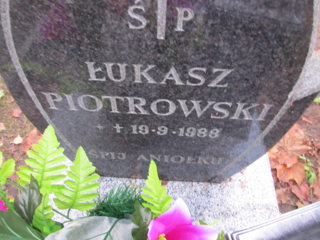 Mateusz PIOTROWSKI 1995 Słupsk - Grobonet - Wyszukiwarka osób pochowanych