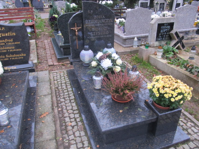 Grób TADEUSZ SZYSZKO