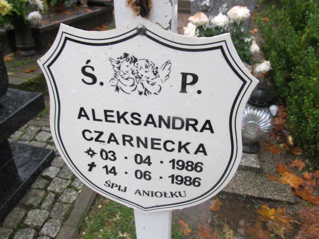 Aleksandra CZARNECKA 1986 Słupsk - Grobonet - Wyszukiwarka osób pochowanych