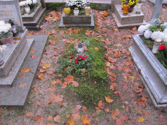 Barbara NOWICKA 1955 Słupsk - Grobonet - Wyszukiwarka osób pochowanych