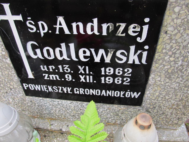 Andrzej GODLEWSKI 1962 Słupsk - Grobonet - Wyszukiwarka osób pochowanych