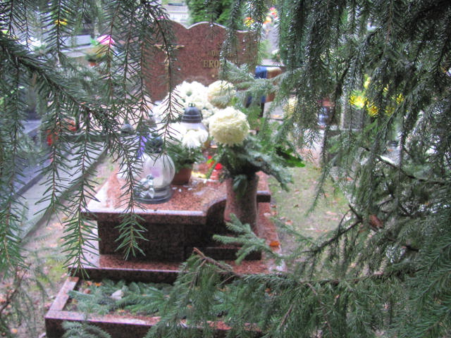 Grób WOJCIECH BRODZIK