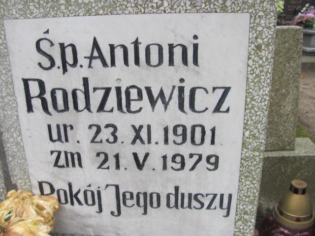 Antoni RODZIEWICZ 1901 Słupsk - Grobonet - Wyszukiwarka osób pochowanych