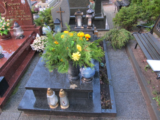 Grób ANTONI WIŚNIEWSKI