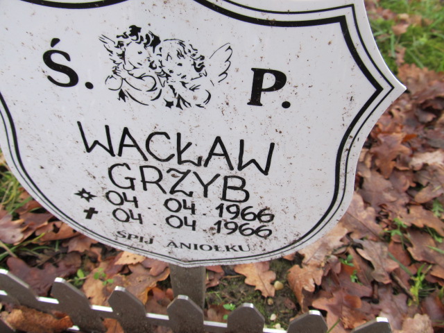 Wacław GRZYB 1966 Słupsk - Grobonet - Wyszukiwarka osób pochowanych