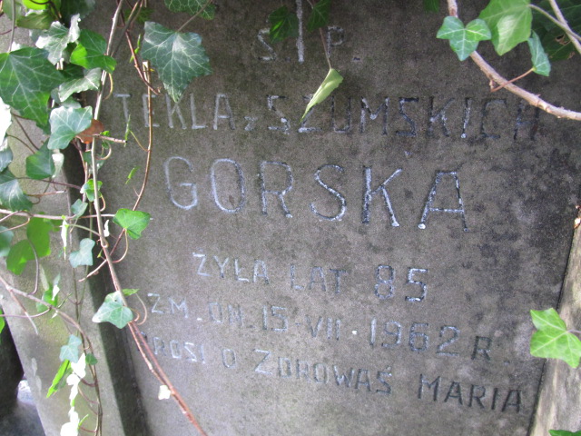 Tekla GÓRSKA 1877 Słupsk - Grobonet - Wyszukiwarka osób pochowanych