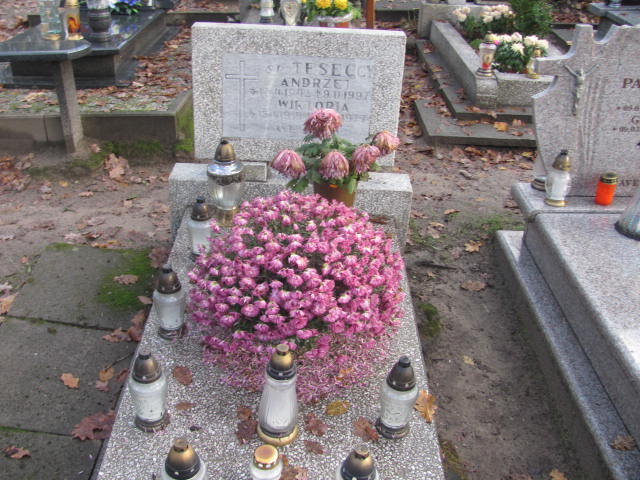 Grób Wiktoria Tesecka