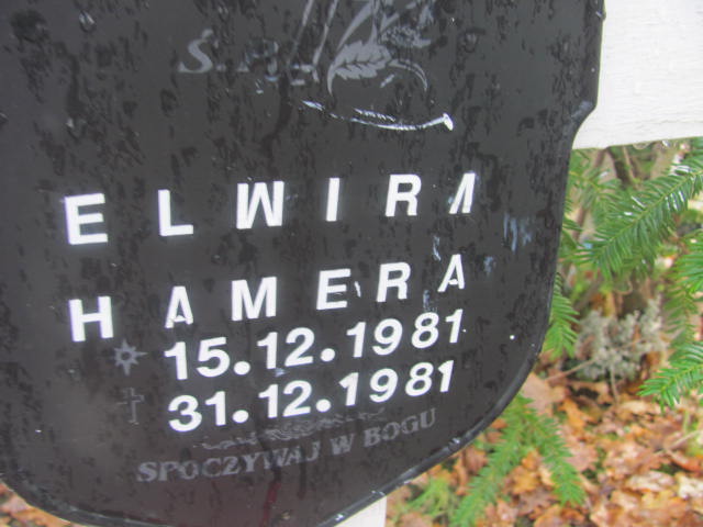 Elwira HAMERA  1981 Słupsk - Grobonet - Wyszukiwarka osób pochowanych