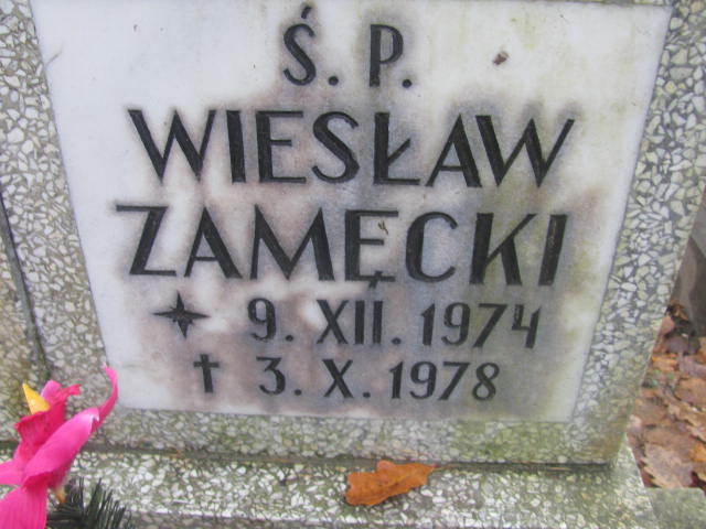 Wiesław ZAMĘCKI 1974 Słupsk - Grobonet - Wyszukiwarka osób pochowanych