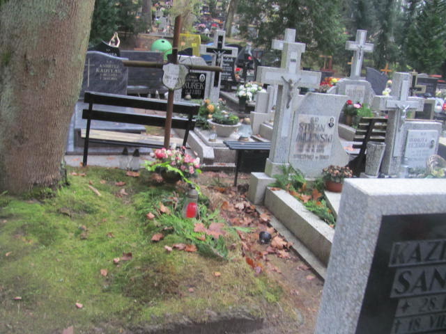 Grób Tadeusz Bilman