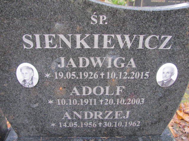 Andrzej SIENKIEWICZ 1956 Słupsk - Grobonet - Wyszukiwarka osób pochowanych
