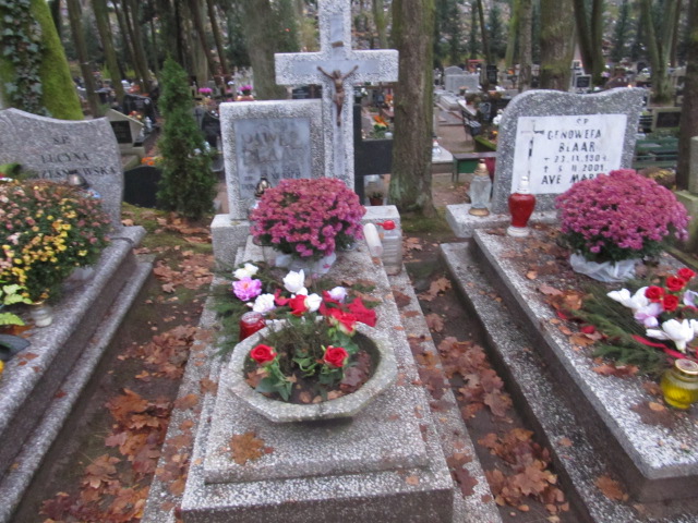 Grób JAN BAJCARCZYK