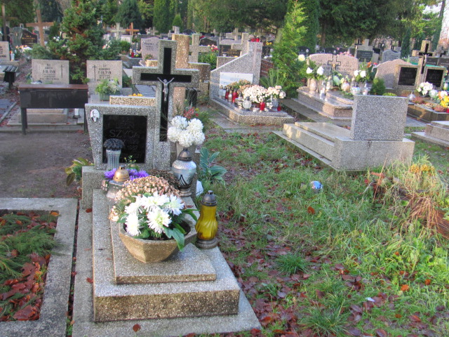 Grób LEON SZYCA