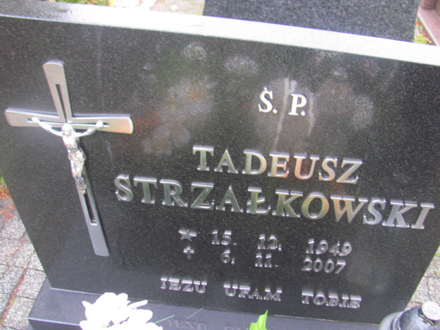 Tadeusz STRZAŁKOWSKI 1949 Słupsk - Grobonet - Wyszukiwarka osób pochowanych