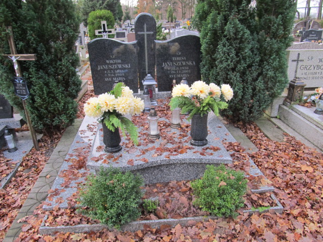 Grób Wiktor Januszewski