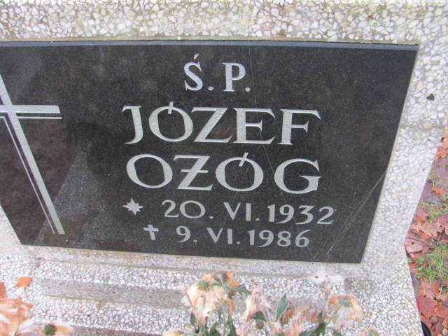 Teodozja OŻÓG 1935 Słupsk - Grobonet - Wyszukiwarka osób pochowanych