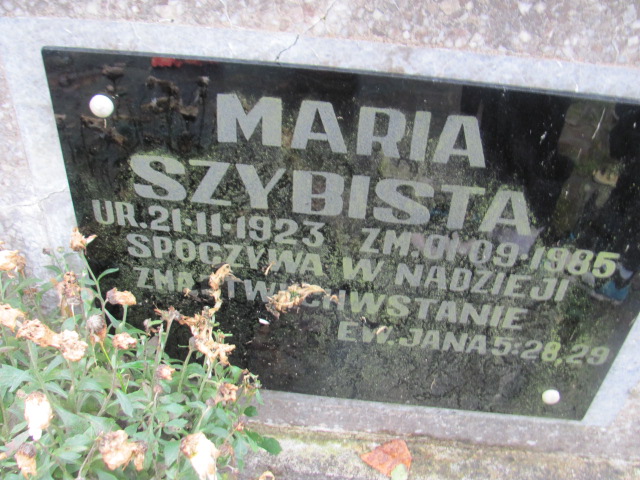 Maria SZYBISTA 1923 Słupsk - Grobonet - Wyszukiwarka osób pochowanych