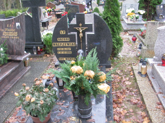 Grób ANTONI WALISZEWSKI