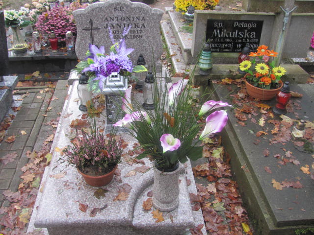 Grób ANTONINA JANICKA