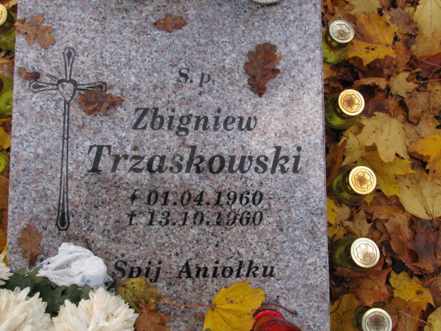 Zbigniew TRZASKOWSKI 1960 Słupsk - Grobonet - Wyszukiwarka osób pochowanych