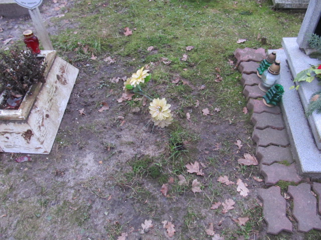 Piotr Mojsiewicz 1961 Słupsk - Grobonet - Wyszukiwarka osób pochowanych