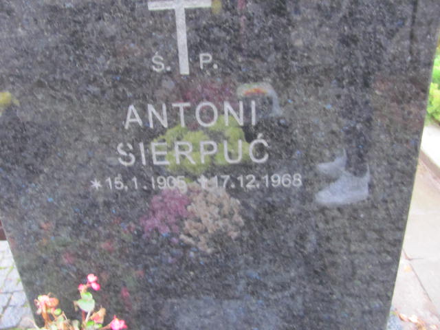 Antoni SIERPUĆ 1905 Słupsk - Grobonet - Wyszukiwarka osób pochowanych