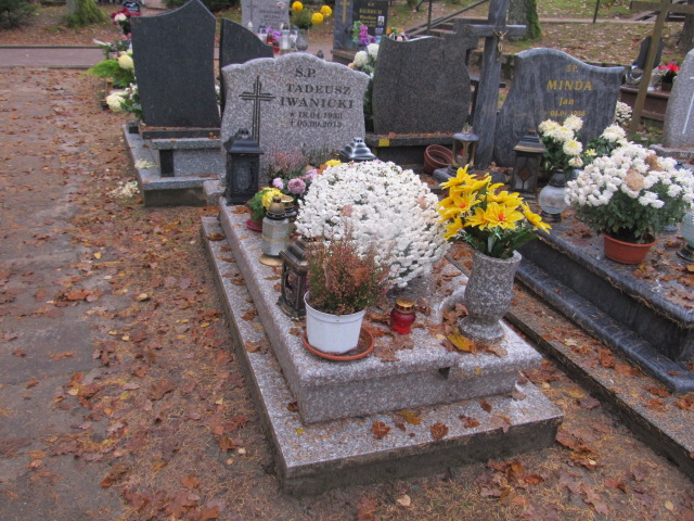 Grób TADEUSZ IWANICKI