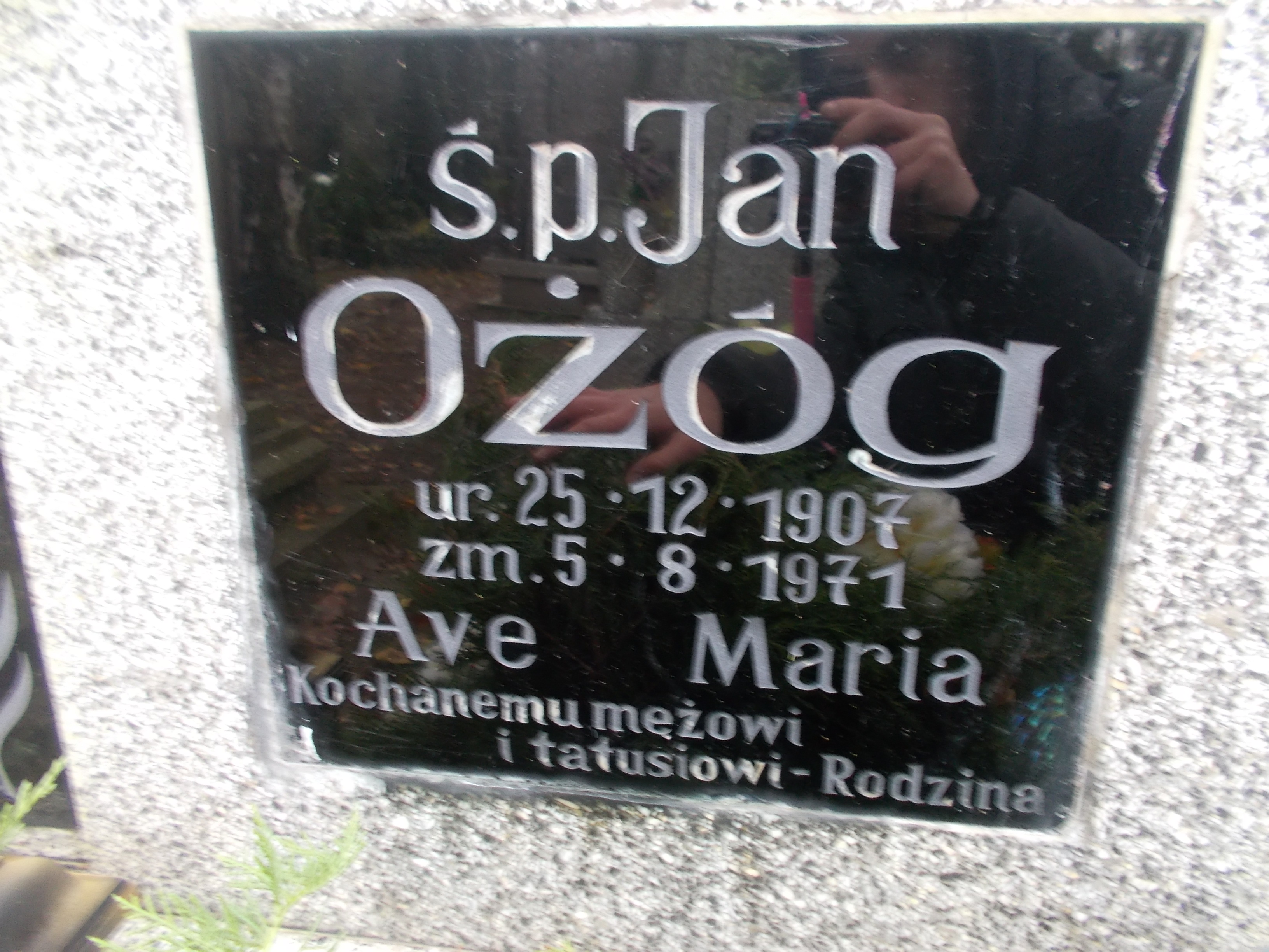 Czesław GRUSZCZYŃSKI 1956 Słupsk - Grobonet - Wyszukiwarka osób pochowanych