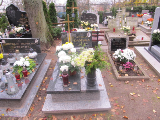 Grób ANIELA DAMSKA