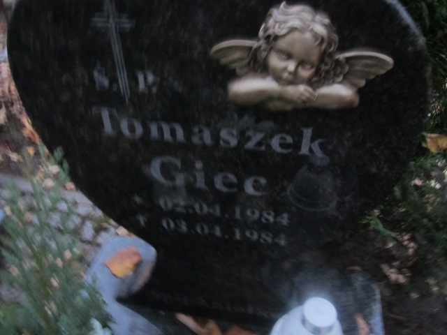 Tomasz GIEC 1984 Słupsk - Grobonet - Wyszukiwarka osób pochowanych