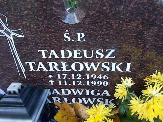 Tadeusz TARŁOWSKI 1946 Słupsk - Grobonet - Wyszukiwarka osób pochowanych