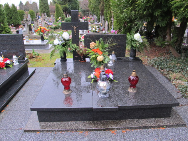 Grób HENRYK STOKŁOSA