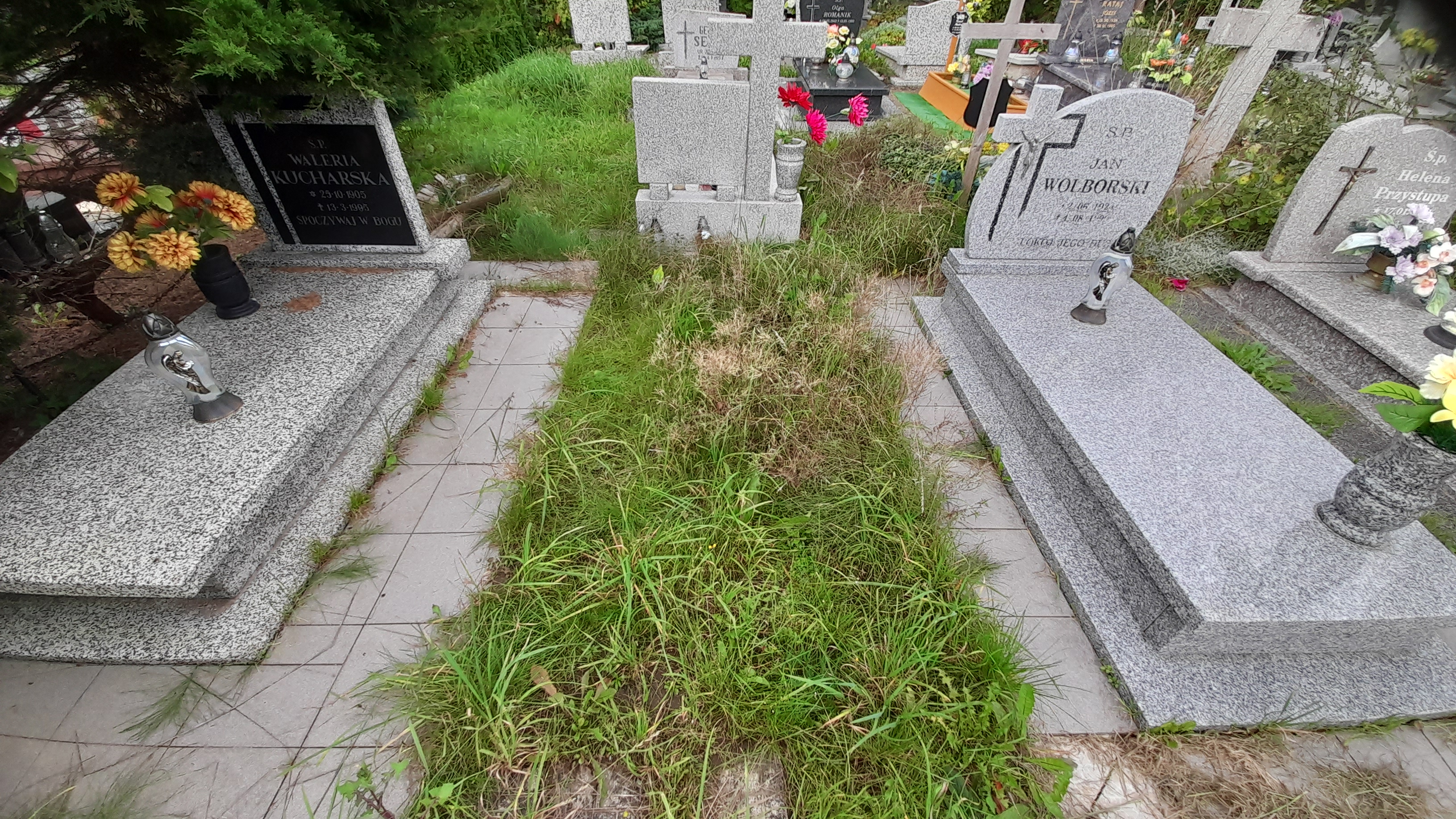 Franciszka WOLBORSKA 1927 Słupsk - Grobonet - Wyszukiwarka osób pochowanych