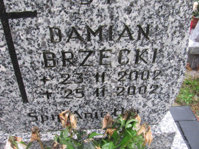 Damian BRZĘCKI 2002 Słupsk - Grobonet - Wyszukiwarka osób pochowanych