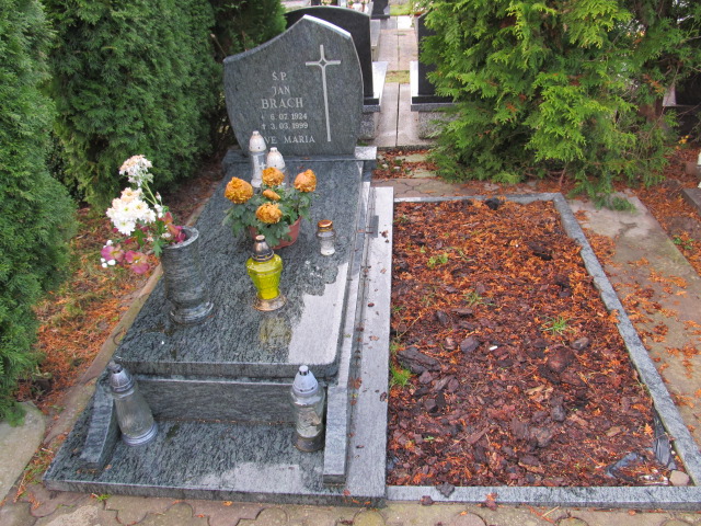 Grób JAN BRACH