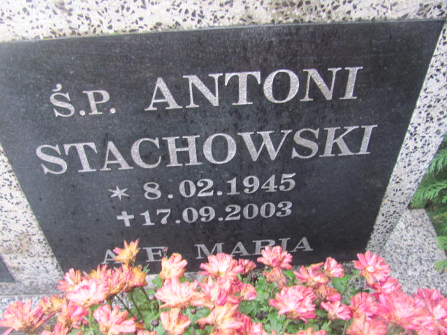 Antoni STACHOWSKI 1945 Słupsk - Grobonet - Wyszukiwarka osób pochowanych