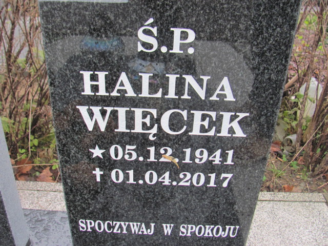 Halina WIĘCEK 1941 Słupsk - Grobonet - Wyszukiwarka osób pochowanych