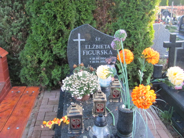 Grób ELŻBIETA FIGURSKA